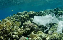 W oceanach brakuje setek ton plastiku. Naukowcy już wiedzą, gdzie jest
