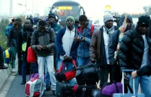 W 2007 roku w UE uznano, że do 2050 Europa potrzebuje 100 milionów imigrantów