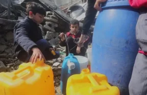 BBC: Mieszkańcy Gazy utrzymują się z paszy dla zwierząt i ryżu