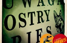 Nie zapiął psa na smyczy, teraz będzie się tłumaczył przed sądem