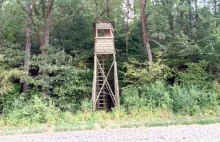 Nocne polowanie. Mężczyzna zastrzelony na własnym podwórku