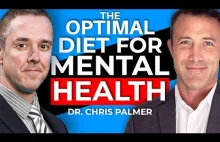 Profesor z Harvardu Chris Palmer o leczeniu schizofrenii depresji dietą