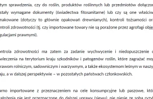 Związek Zawodowy Rolnictwa "Korona": MRiRW: Wszystkie kategorie zbóż importo