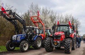 Sankcje na rosyjskie produkty rolne? Tego domaga się Polska