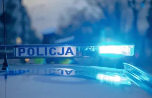 Mężczyzna z maczetą zaatakował policjantów. Padł strzał