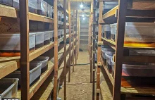 Zła informacja dla klofedroniarzy - CBŚP zlikwidowała dwa laboratoria