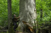 Morskie Oko - para koni ciągnie pod górę tonę. Jest się nad czym zastanawiać?