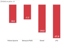 Polski Instytut Ekonomiczny: mocny spadek cen paliw