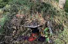 Miesiącami krył się w lesie. Uciekiniera zatrzymano w Lesie Murckowskim