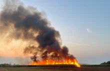 16-latek wywołał 18 pożarów. Straty są ogromne