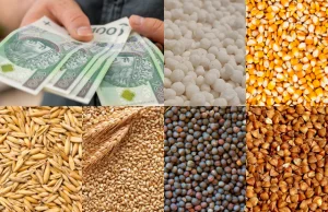 Dopłaty do zbóż i nawozów. To już ostatnie dni na złożenie wniosku o pomoc