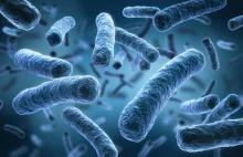 Legionella - W Rzeszowie zmarła kolejna osoba. 127 zakażonych [SPRAWDŹ!]
