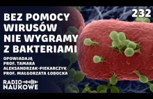 Wojna z bakteriami - czy właśnie przegrywamy?