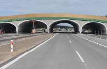 Co słychać na budowanych przez GDDKiA drogach w woj. mazowieckim?