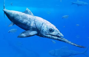 Szczątki drapieżnej ryby w Górach Świętokrzyskich! Pochodzą sprzed 365 milionów