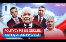 Pis nie przepracował porażki, nie mają planu, ani pokory, a już zaklepują stołki