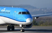 Kapitan linii lotniczej KLM stracił pracę za molestowanie stewardes