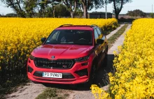 Test: Skoda Kodiaq RS - wybierz kierunek i pakuj ekipę | Moto Pod Prąd