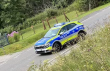 Nasi dzielni policjanci nadal suszą w krzakach. Nic się nie zmieniło.