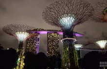 Singapur miasto zakazów - 16 zakazów, które Cię zaskoczą! - Ready for Boarding