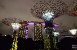 Singapur miasto zakazów - 16 zakazów, które Cię zaskoczą! - Ready for Boarding