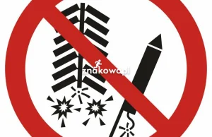 Rząd pracuje! Zakaz używania fajerwerków i petard hukowych przez osoby fizyczne!