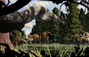 Tyranozaur był stoopkarzem? Ostatni posiłek to tylko nogi dwóch dinozaurów.