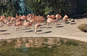 Wyzwanie Bellingcat - tydzień pierwszy. OSINT geolokalizacji w praktyce