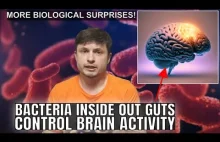 Bezpośredni związek między mikrobiomem jelitowym, a ludzką inteligencją.