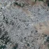 Dzielnice północnej Gazy zrównane z ziemią po tygodniach izraelskich bombardowań