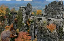 Wybierasz się do Saskiej Szwajcarii na most Bastei? - kilka porad