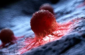 Nowa metoda walki niszczy 99% komórek rakowych, laboratoryjnych