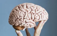 Mózgi niektórych osób są bardziej pofałdowane niż innych. Dlaczego?