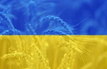 Mamy popełnić samobójstwo gospodarcze w imię solidarności z Ukrainą.