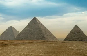 Upadła piramida finansowa CoinPlex. Tak (nie) reagowały organy państwa...