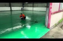 Chiny: praca 7 dni w tygodniu po kilkanaście godzin dziennie