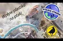 O wpływie plastiku na ptaki słów kilka