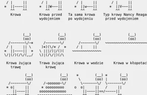 Kompletny przewodnik po krowach