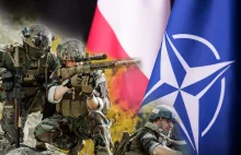 Jeżozwierz strategia obrony dla Polski i wschodniej flanki NATO