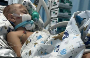 Pijany kierowca potrącił Adasia - Prośba o wykop efekt