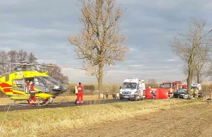 Śląsk: Auto wjechało w drzewo, trzech Ukraińców nie żyje