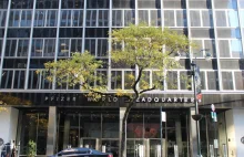 Pfizer z problemem. Nowy lek na raka nie przynosi oczekiwanych rezultatów