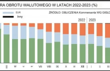 Co dalej z Rublem. Czy czeka nas ostry kryzys ? Cykl wieści z Rosji