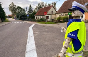 Posterunkowy Drewniak pilnuje tu porządku.