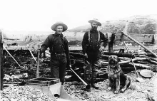 Pomagały górnikom, dostarczały towarzystwa - co zawdzięczamy psom?