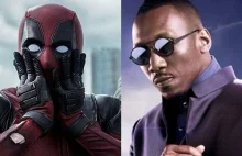 Blade i Deadpool 3 oficjalnie z kategorią wiekową R. To filmy tylko dla starszyc