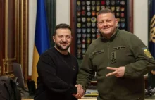Naczelny dowódca Sił Zbrojnych Ukrainy Walerij Załużny stracił stanowisko