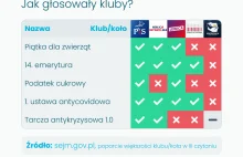 Krótka piłka: na kogo głosować.