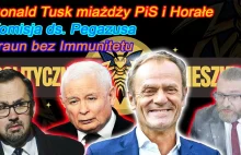 Donald Tusk Zawodowiec - Miażdży PiS i Horałę !