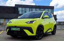 Samochodowe Temu już jest. Tani samochód z Chin wyślą ci prosto do domu